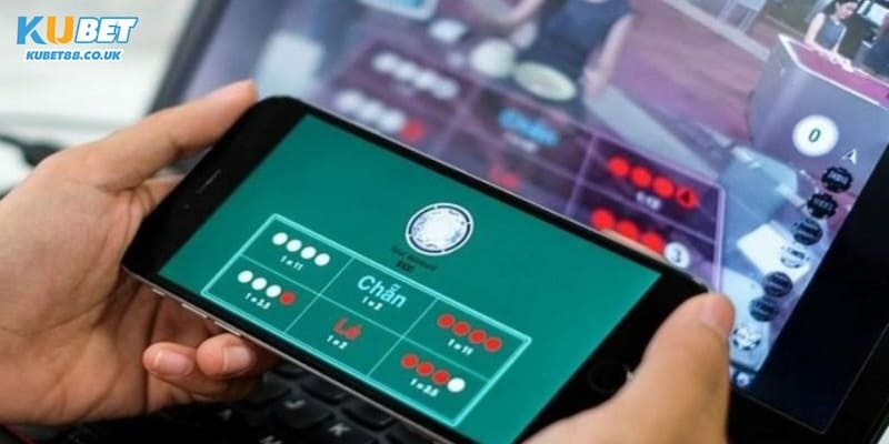 Bắt Cầu Xóc Đĩa Kubet88