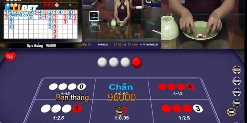 Bắt Cầu Xóc Đĩa Kubet88