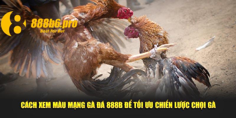 Cách xem màu mạng gà đá chủ yếu dựa vào màu lông