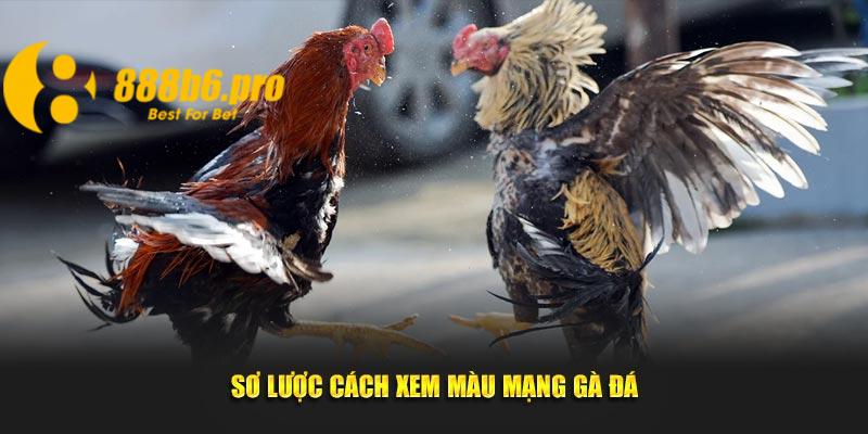 Cách xem màu mạng gà đá hỗ trợ ít nhiều đến việc chọn chiến kê giỏi